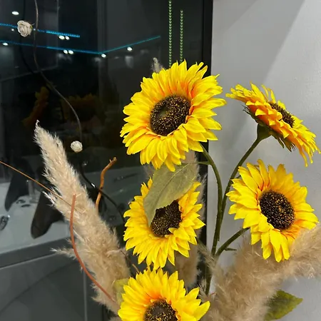 Love Spa Apartman * Banja Koviljača